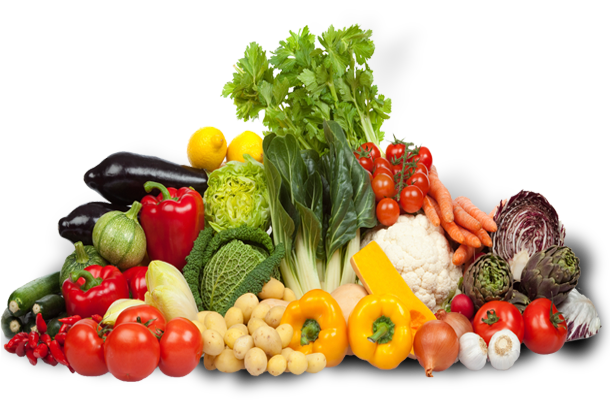Vietlin xuất nhập khẩu nông sản
